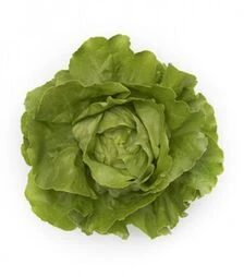 Семена салата Томбело, п.е. 5 тыс. семян (Rijk Zwaan)