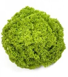 Насіння салату Алеппо, п.о. 5 тис. насінин (Rijk Zwaan)