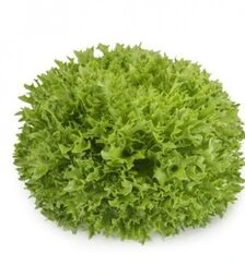 Насіння салату Екстемп, п.о. 5 тис. насінин (Rijk Zwaan)