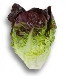 Насіння салату Розайн, п.о. 1 тис. насінин (Rijk Zwaan)