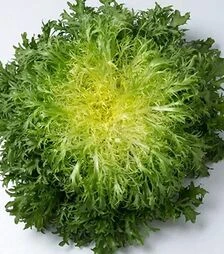 Семена салата Бенефайн, п.е. 1 тыс. семян (Enza Zaden)