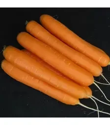 Семена моркови Санторин F1, п.е. 500 тыс. семян, 2,0-2,25 калибр (Clause)