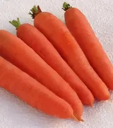 Семена моркови Цидера, 1 кг (Moravoseed)