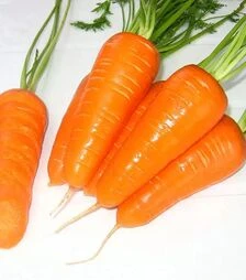 Насіння моркви Шантане Ред Коредо, 500 г (Hazera)