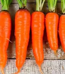 Насіння моркви 1932 F1, п.о. 25 тис. насінин (Spark Seeds)