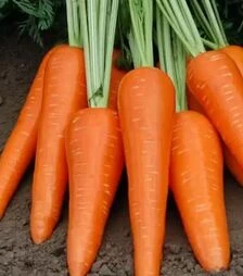 Семена моркови Абликсо F1, п.е. 200 тыс. семян (Seminis)