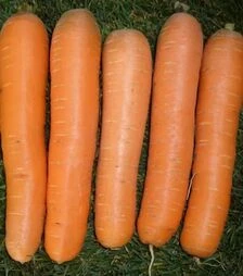 Насіння моркви Анина, 500 г (Semo)