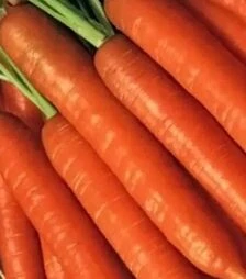 Насіння моркви Бріліанс F1, п.о. 100 тис. насінин (Nunhems)