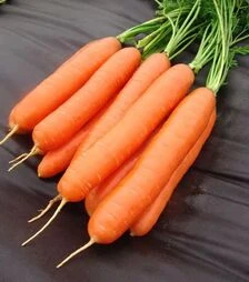 Семена моркови Дарья, 500 г (Moravoseed)