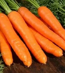 Насіння моркви Кардила, 500 г (Semo)