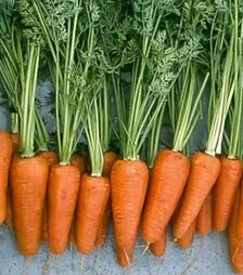 Семена моркови Ред Кор F1, 500 г (Libra Seeds)