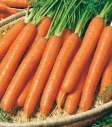 Насіння моркви Смирна, 500 г (Semo)