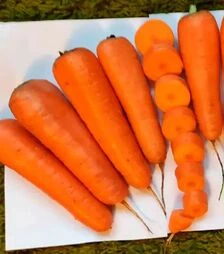 Семена моркови ТИ-134 F1, п.е. 100 тыс. семян (Takii Seed)