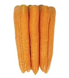 Семена моркови Джерада F1, п.е. 25 тыс. семян, 2,0-2,2 калибр (Rijk Zwaan)