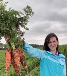 Насіння моркви Нью Курода АС, 500 г, 2,4+ калібр (Asia Seed)