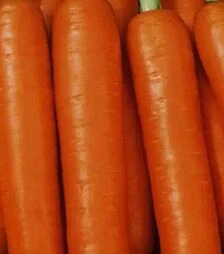 Семена моркови Красная боярыня, 500 г (Коуэлл)