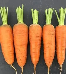 Семена моркови Керри F1, п.е. 100 тыс. семян (Innova Seeds)