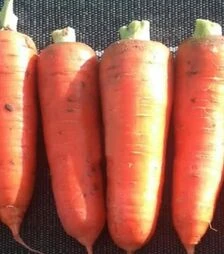 Насіння моркви Курода Пауер, 100 г (Sakata)