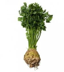 Семена сельдерея Отаго, п.е. 10 тыс. семян (Rijk Zwaan)