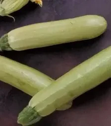 Насіння кабачка Аймаран F1, п.о. 1 тис. насінин (Nunhems)