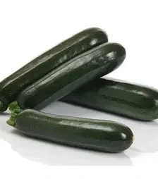 Насіння кабачка Аскона F1, п.о. 500 насінин