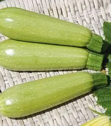 Насіння кабачка Грін, 500 г (Коуел)