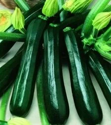 Насіння кабачка Гамбит F1, 50 г (Semo)