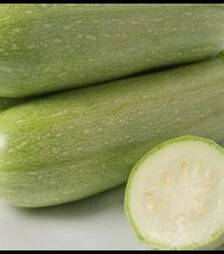 Семена кабачка Марсела F1, п.о. 500 семян (Enza Zaden)