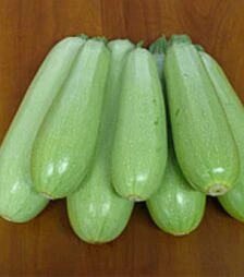 Семена кабачка Немо F1, п.о. 2,5 тыс. семян (Spark Seeds)