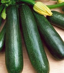 Семена кабачка Стартгрин F1, 50 г (Semo)