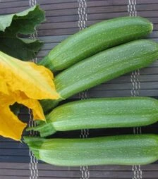 Семена кабачка Мерлин (ИНХ 10554) F1, п.о. 100 семян (Innova Seeds)