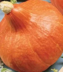 Насіння гарбузу Ухікі Курі, 1 кг (Moravoseed)