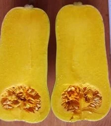 Насіння гарбузу Сібель, п.о. 1 тис. насінин (Clause)