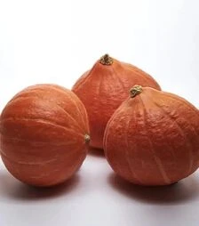 Семена тыквы Коленки F1, п.е. 100 семян (Sakata)