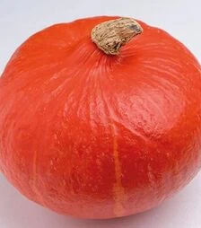 Семена тыквы Кенжи Кури F1, п.е. 250 семян (Enza Zaden)