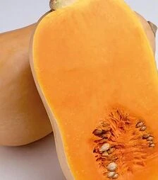 Семена тыквы Жаклин F1, п.е. 500 семян (Enza Zaden)