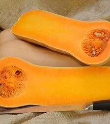 Семена тыквы Титан F1, п.е. 1 тыс. семян (Sakata)