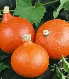 Насіння гарбузу Хакайдо Оранжевый, 200 г (Semo)