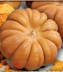 Насіння гарбузу Мускат де Прованс, 100 г (Moravoseed)