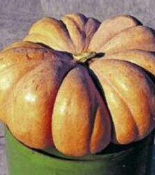 Насіння гарбуза Вест, 0,5 кг (Spark Seeds)