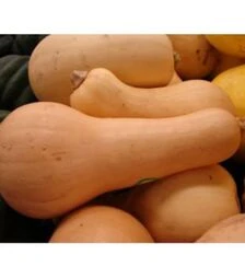 Насіння гарбуза Волтгем Батернат F1, 100 г (United Genetics)