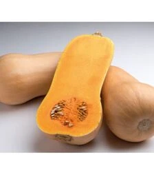 Насіння гарбуза Жаклін F1 Organic, п.о. 250 насінин (Vitalis)