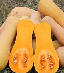 Насіння гарбуза Лаура, 25 г (Semo)