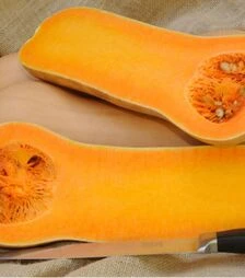 Насіння гарбуза Титан F1, п.о. 100 насінин (Sakata)