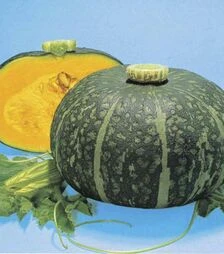 Насіння гарбуза Хані Дисерт F1, п.о. 1 тис. насінин (Nong Woo Bio)