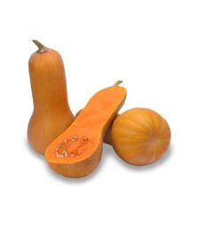 Насіння гарбуза Оранж F1, п.о. 500 насінин (ZKI)