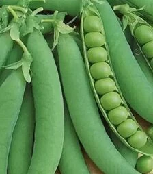 Насіння гороху Оскар, 25 кг (Semo)