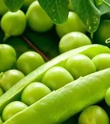 Насіння гороху Кельведонське диво, 25 кг (Коуел)