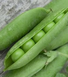 Насіння гороху Авола, 250 г (Satimex)