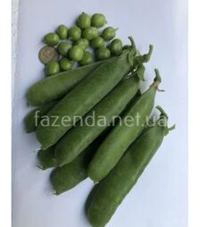 Насіння гороху Вондер, п.о. 2,5 тис. насінин (Spark Seeds)